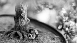 Milot BERNADIN - MILOT BERNADIN PHOTOGRAPHE