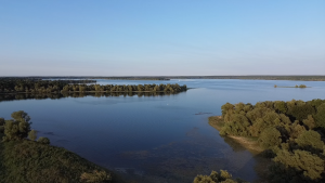 ELEONORE PIOCHE - PIOCHE ELEONORE