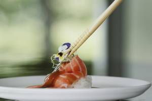 Boris TAIEB - TAIEB - PLAN FOKAL